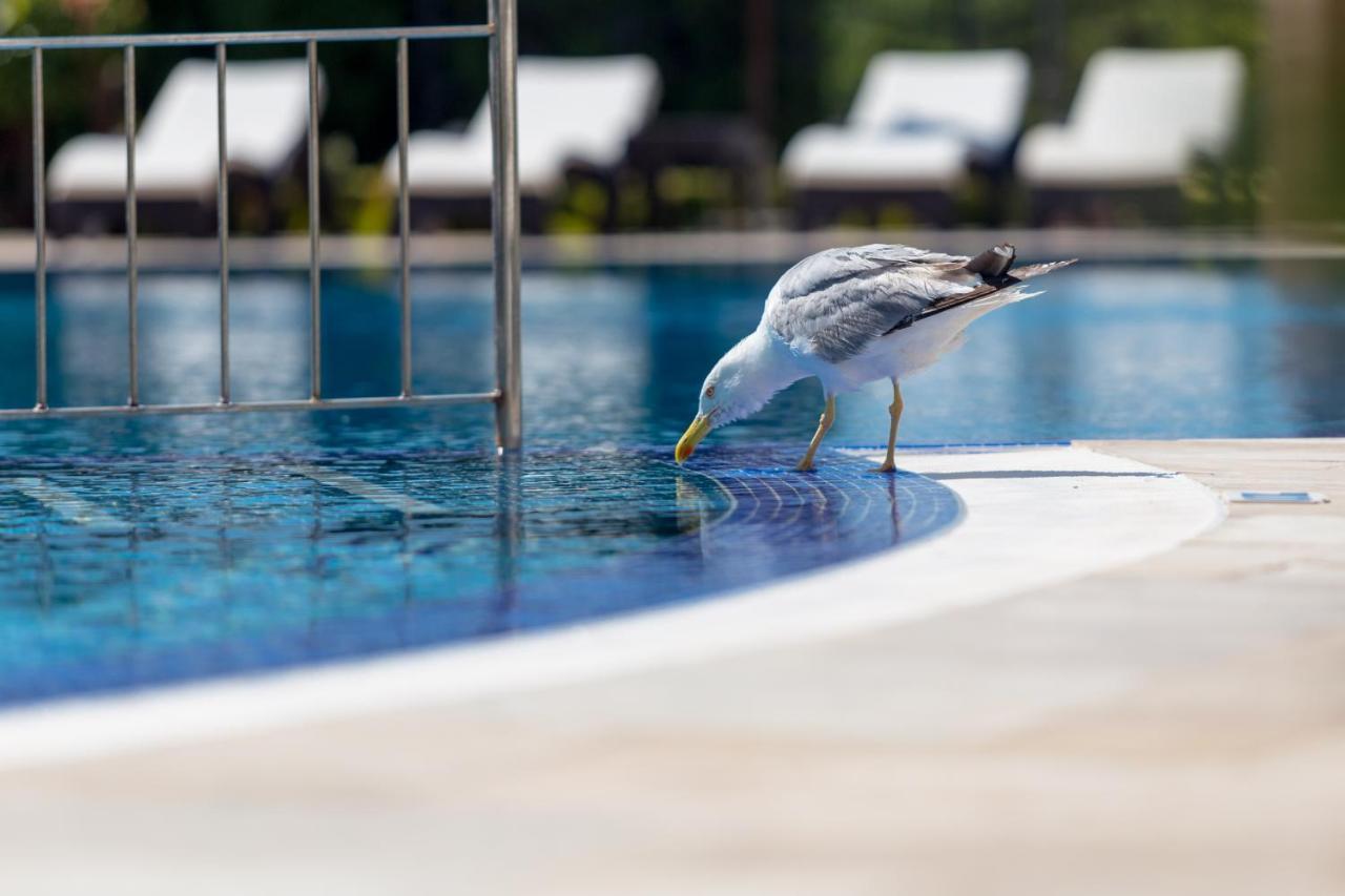 Villa Florence Boutique Apart Hotel Sveti Vlas Luaran gambar